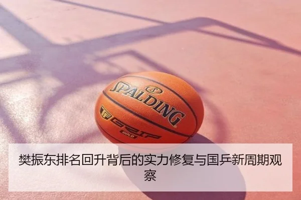 樊振东排名回升背后的实力修复与国乒新周期观察
