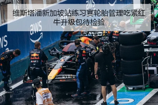 维斯塔潘新加坡站练习赛轮胎管理吃紧红牛升级包待检验