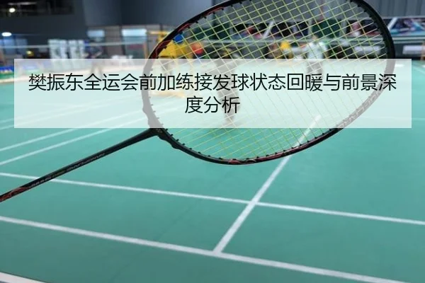樊振东全运会前加练接发球状态回暖与前景深度分析